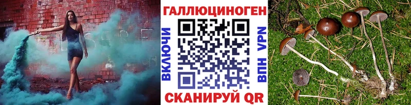 Галлюциногенные грибы мицелий  Архангельск 